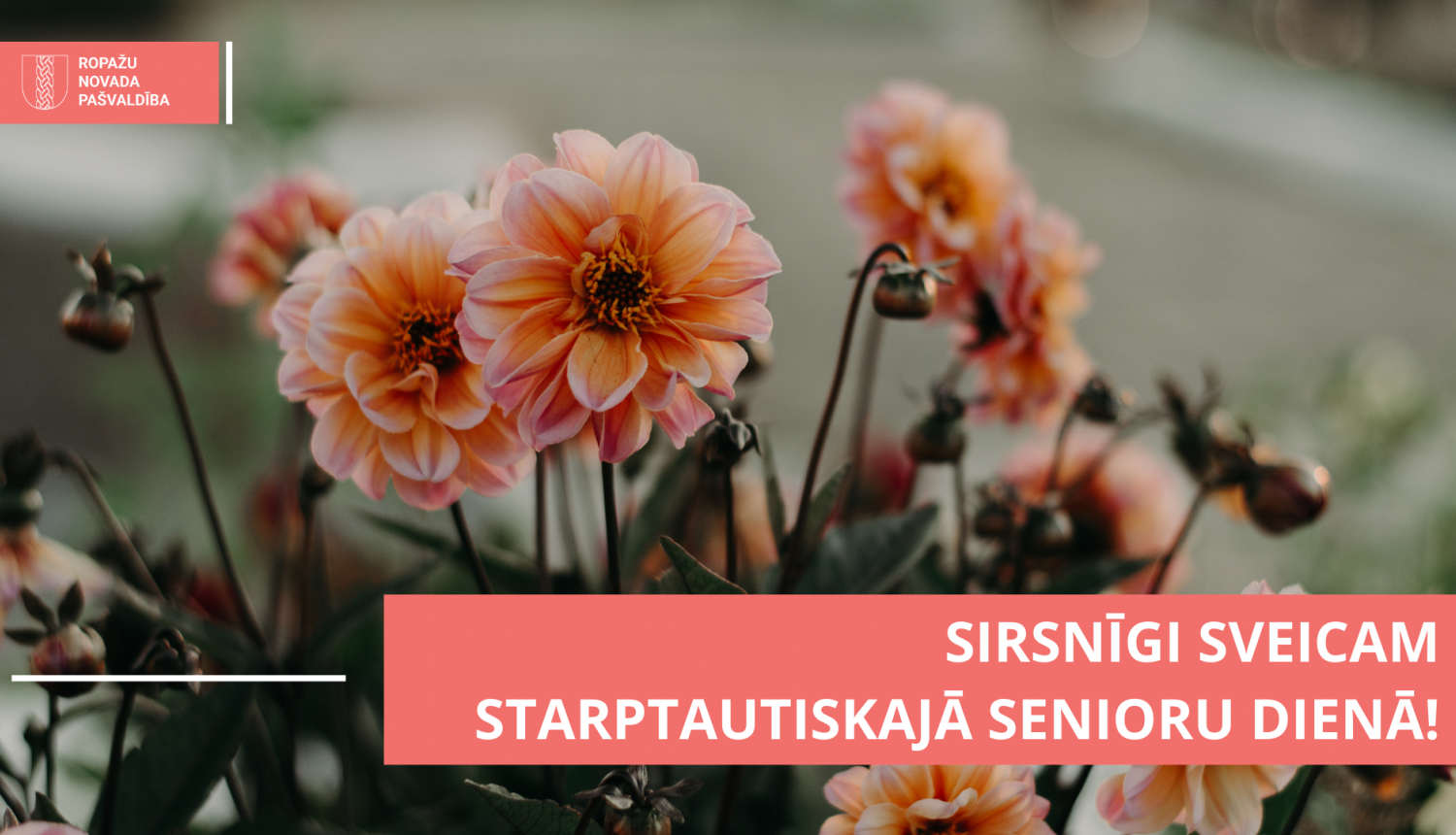 Sveicam Starptautiskajā senioru dienā